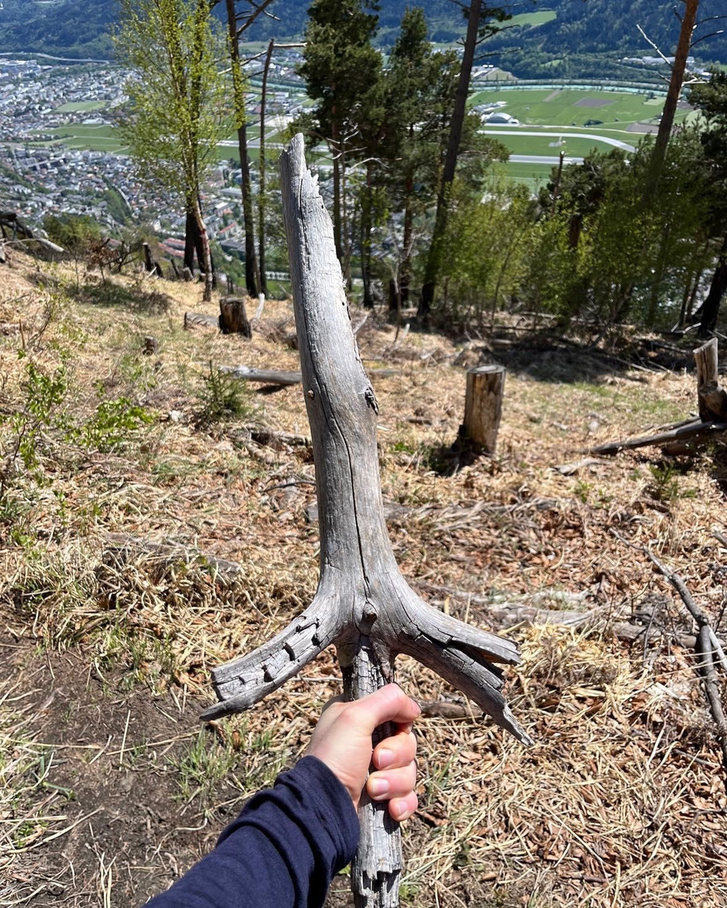 A hand holding the end of a weathered, dead tree branch which is positioned vertically, giving the illusion that the person is holding a large, wooden sword. The branch has a split, elongated tip and jagged edges, resembling a fantastical weapon. In the background, there's a panoramic view of a valley with a city spread out below and distant mountains. The trees around are sparse, with some stumps visible, indicating recent tree cutting or natural tree loss.